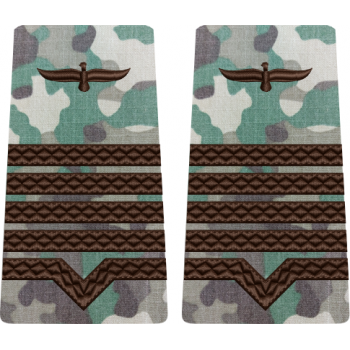 GRADE COMBAT TERESTRU MAISTRU MILITAR CLASA 1 Aviația Română (Forțele Aeriene )